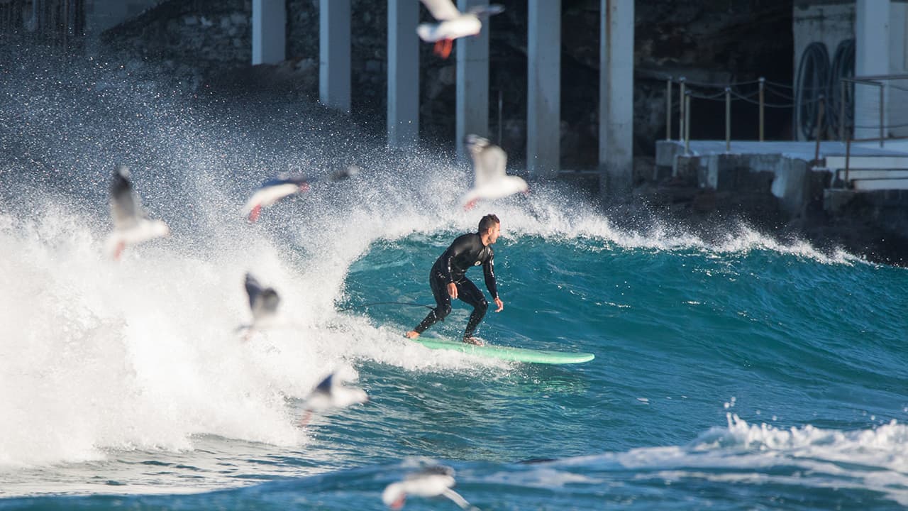Surfing the wave properly: why excuses slow you down, commitment speeds you up and selling remains essential